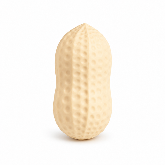 Peanut Squishy